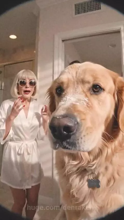 Golden retriever dog splashing in a pool at a luxurious mansion party, surrounded by people.