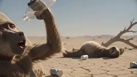 A baboon drinks from a bottle in a dry desert as a sloth lies nearby.