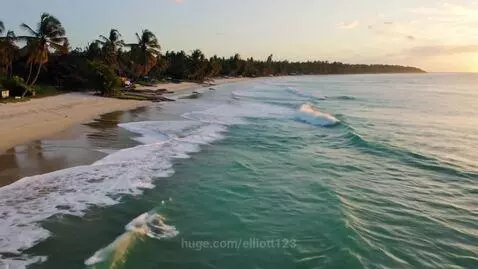 welcome to di tropics, bomboclat by elliott123
