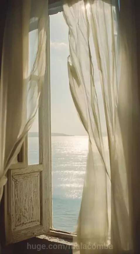 Window 11 by malacomba