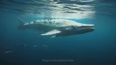 Just below the surface. by malacomba