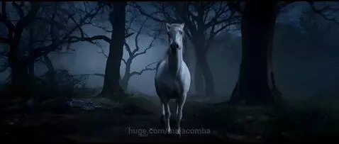White Horse. by malacomba