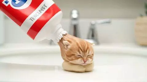 The Cat paste by man2sky