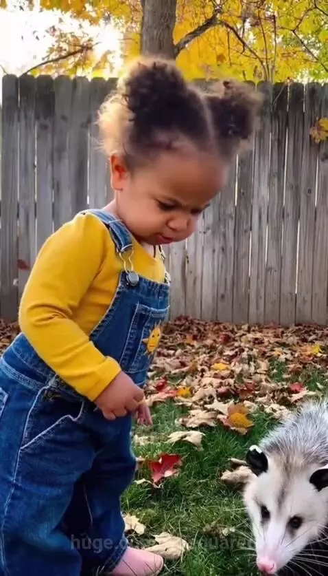 Bad Kitty by m-squared