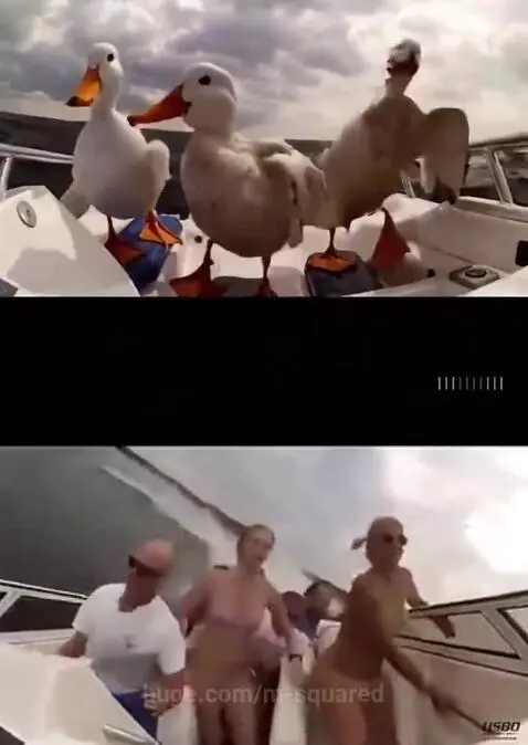 Boat crash by m-squared