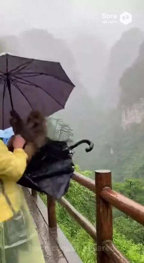 Monkey Poppins by m-squared