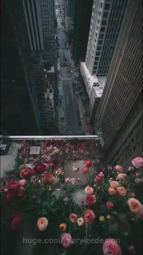 video poster