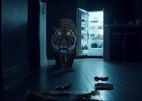 Hungry Tiger in the kitchen by aimismatch