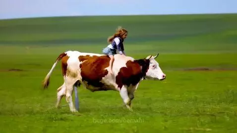 girl riding a cow in the meadow by bernxhi