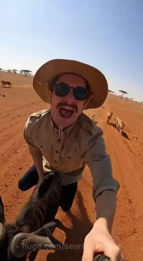i swear ! No more safari by seorankhigher