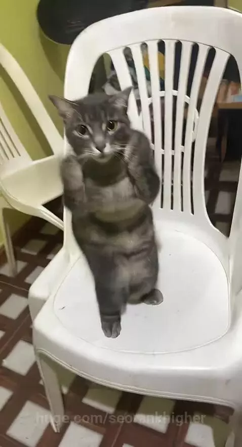 La vida es chula by seorankhigher