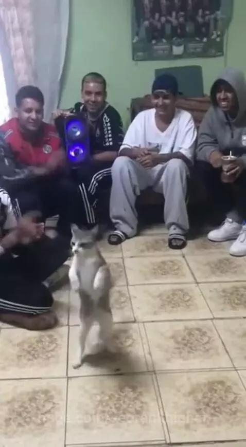 dance move by seorankhigher