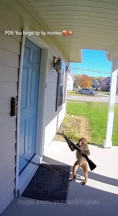 it's not a toy by seorankhigher