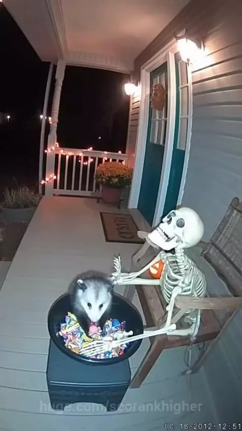 i think he got scared 😂 by seorankhigher