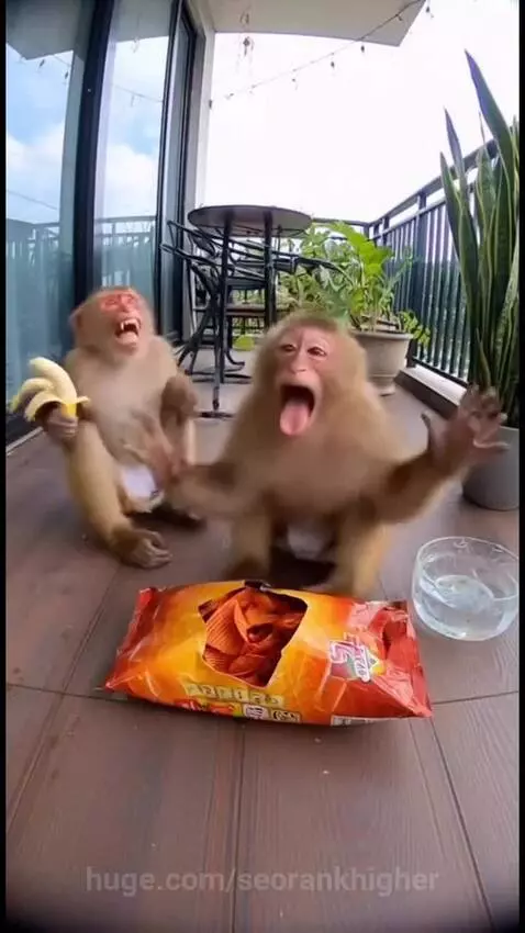 The laugh of his friend make it worst by seorankhigher