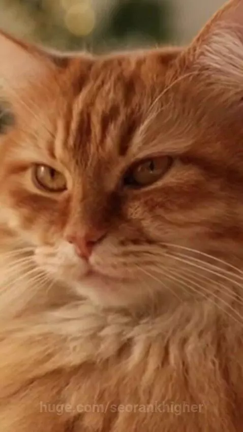 sugaronmytongue by seorankhigher