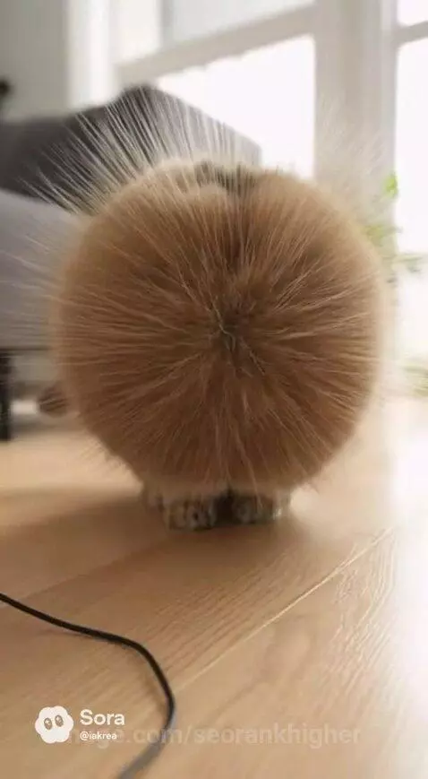 Electricity burst by seorankhigher