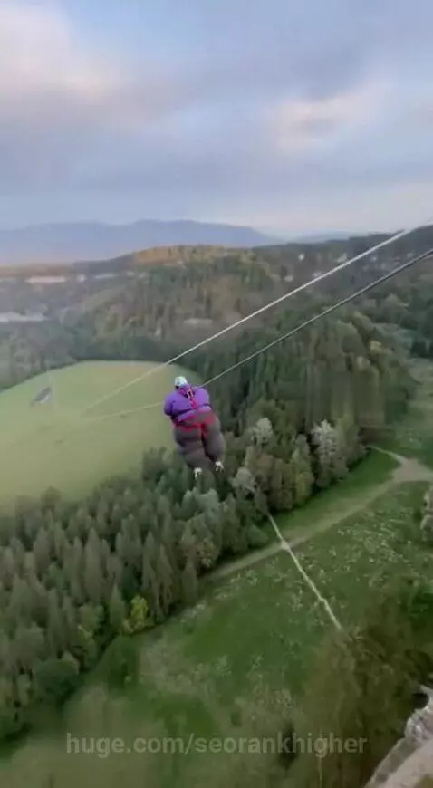 Mega Impact 😂 by seorankhigher