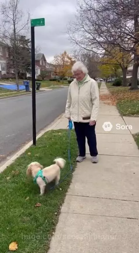 Chester had to go by seorankhigher