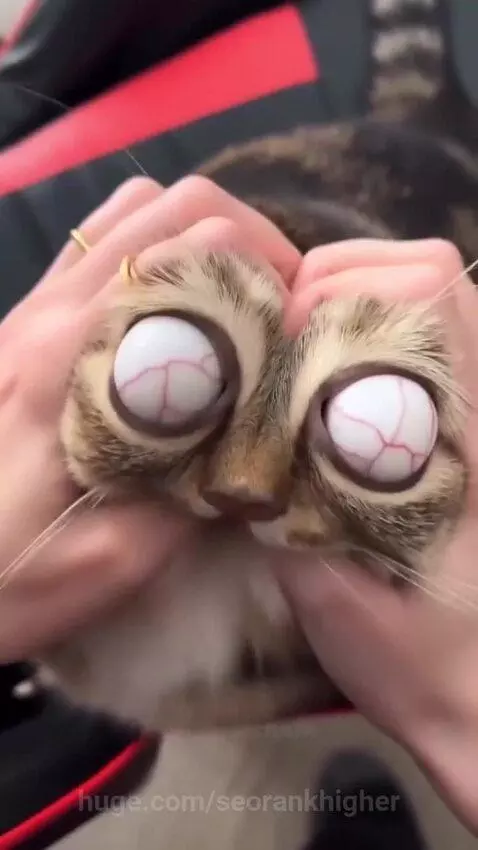 He is so cut ! but ... by seorankhigher