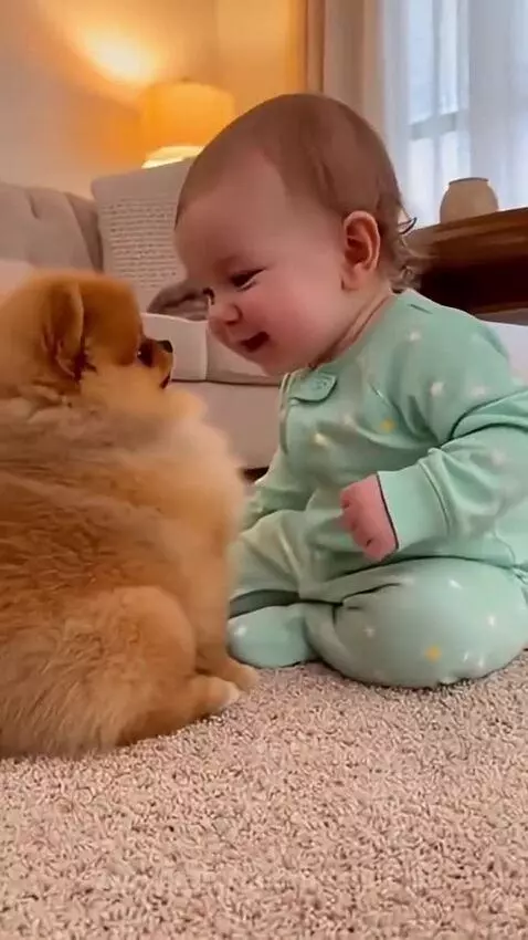 They finally understand each other by seorankhigher