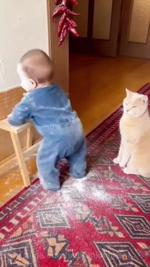 His laugh is so  😂😂 by seorankhigher