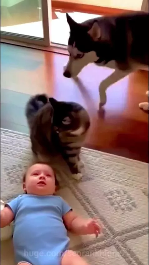 We call it revenge ! by seorankhigher