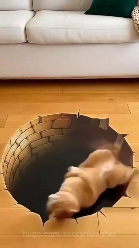 he got so SCARED ! by seorankhigher