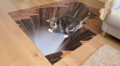 He went crazy on this ! by seorankhigher