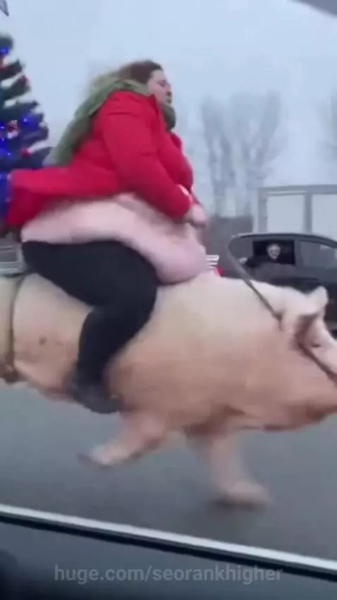 WTF did i just saw by seorankhigher