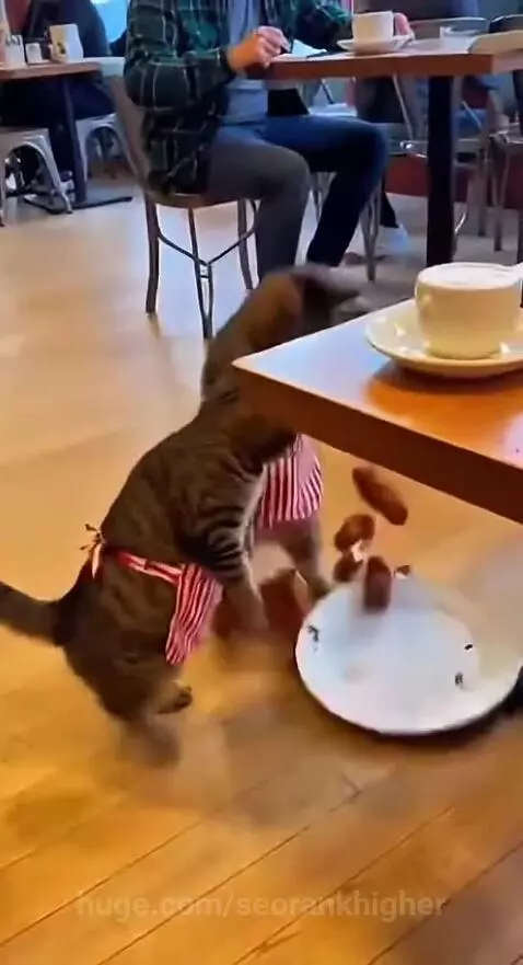 Who's fault is that ? by seorankhigher