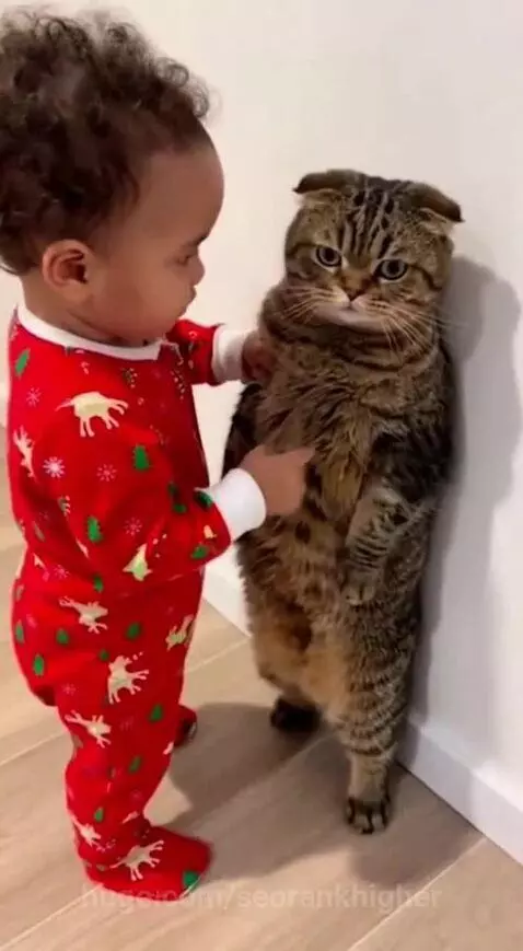 Not today ! by seorankhigher