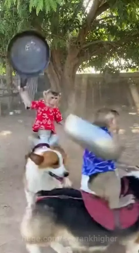 During this time, in the other side of the globe by seorankhigher