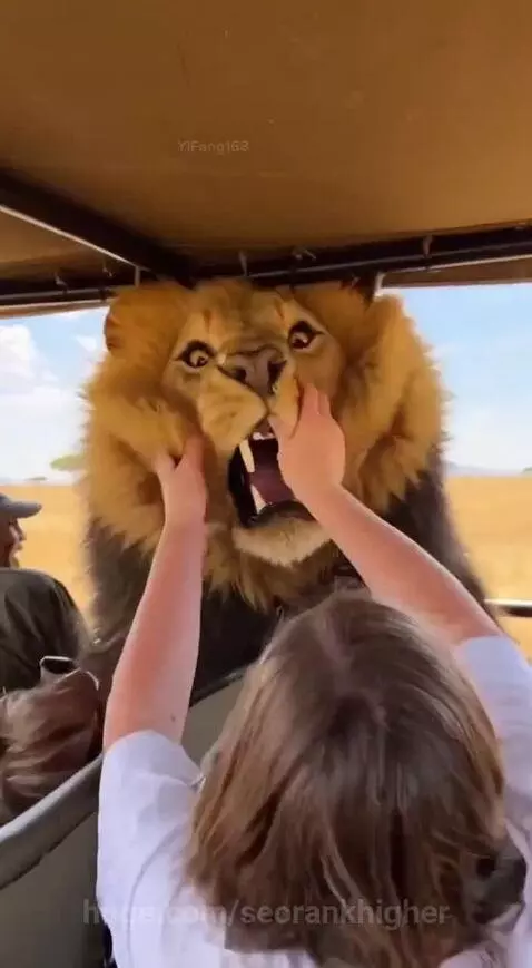 Master of the joke by seorankhigher