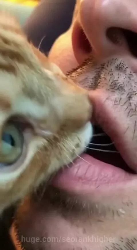 what did i just see ?! by seorankhigher