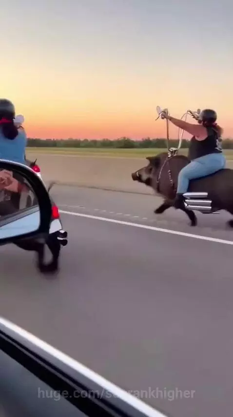 Only in USA 😂 by seorankhigher