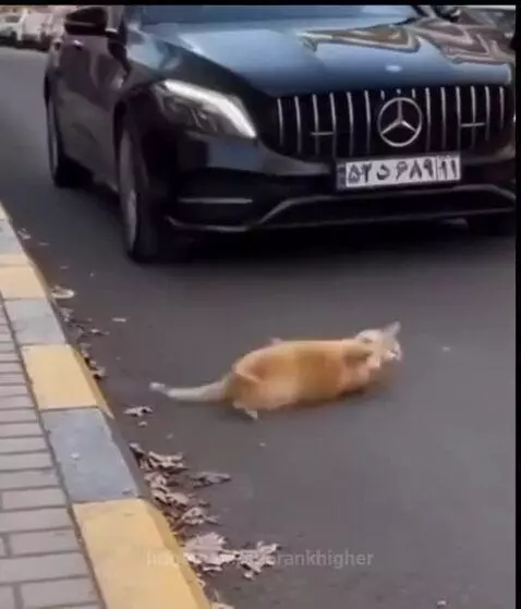 Actor level 1000 by seorankhigher