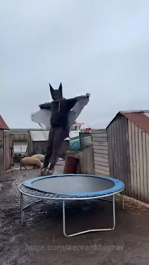 Batman is back, not so sure by seorankhigher