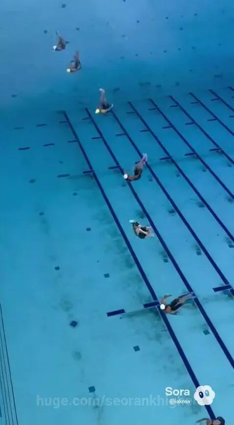 Multiple swimmers performing a synchronized dive into a blue swimming pool from starting blocks.