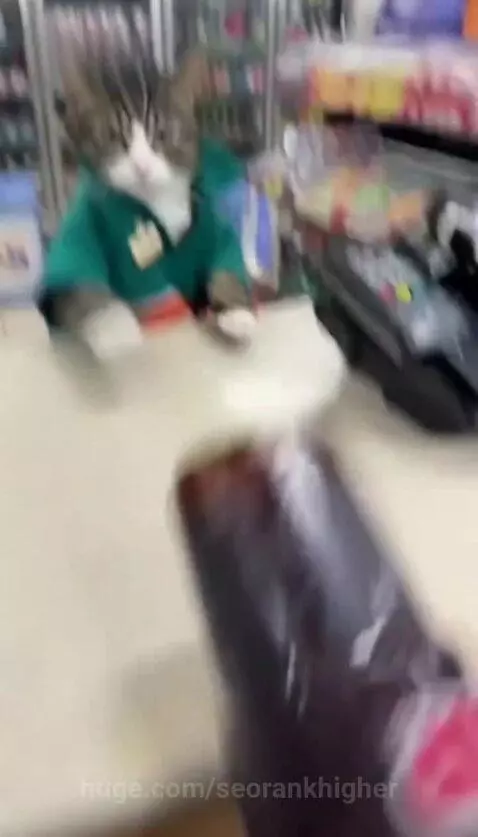 Tabby and white cat named Milo dressed as a cashier, batting at a large drink on a counter, causing a spill.