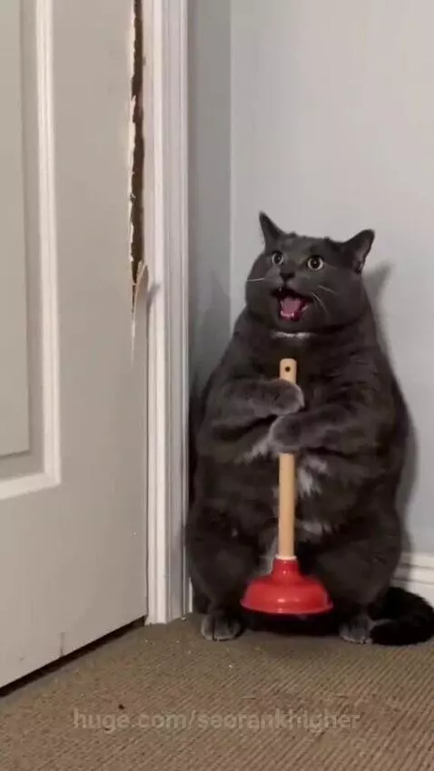 Terrified grey cat holding a plunger, facing an orange cat with an axe peeking through a hole in the door.
