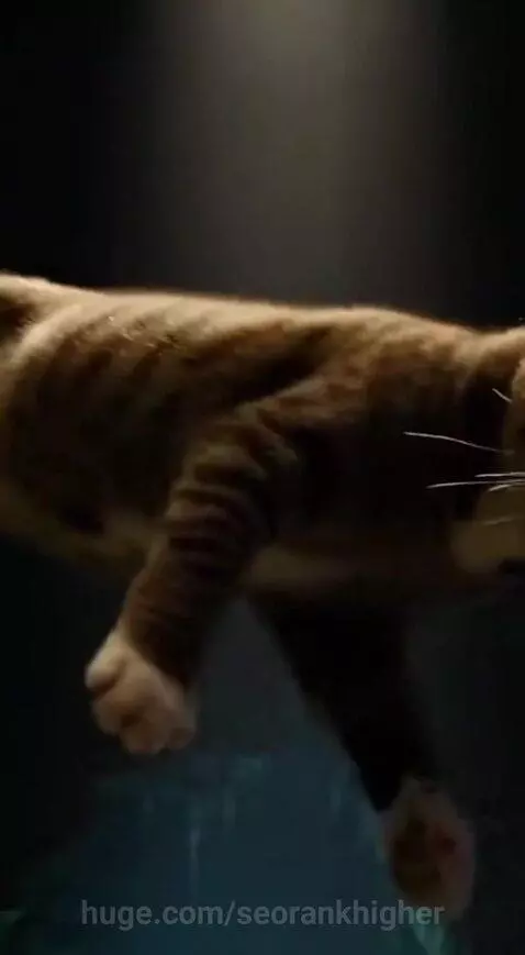 Tabby cat wearing headphones as a DJ in a glowing cave with dancing mice.