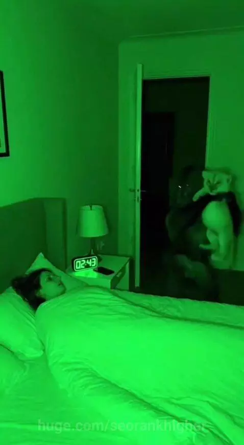 Baboon-like creature holding a baby lion cub, mimicking The Lion King scene, waking up a surprised person.