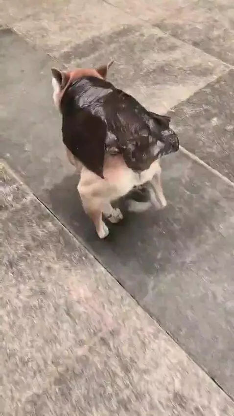 tell me you love him ! by seorankhigher