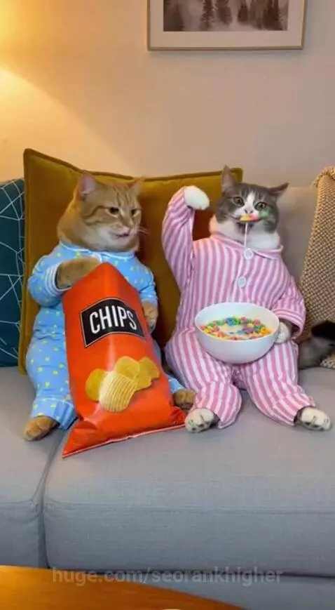 Two cats in pajamas having a food fight on a couch, spilling cereal and chips.