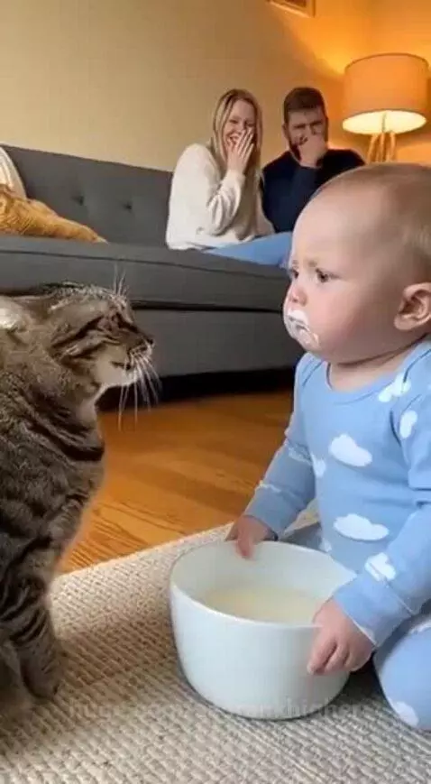 Tabby cat vocalizing loudly at a baby in a blue onesie holding a bowl of milk.