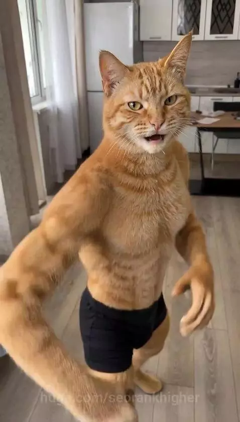 Orange tabby cat with a muscular human-like body performing martial arts moves in a kitchen.