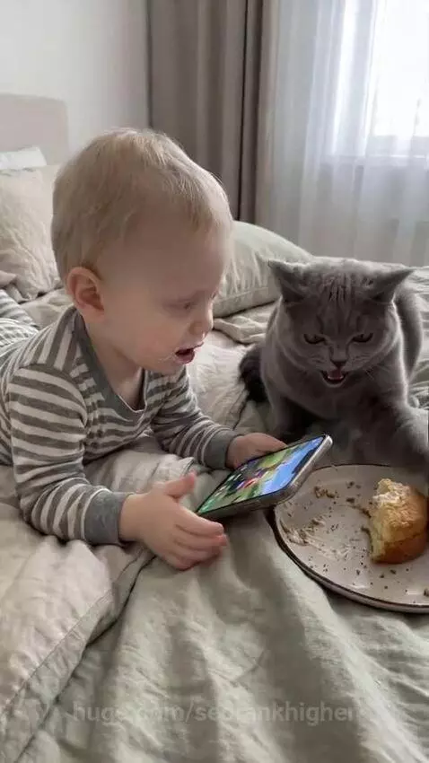 Toddler with food on face arguing with a hissing cat on a bed.