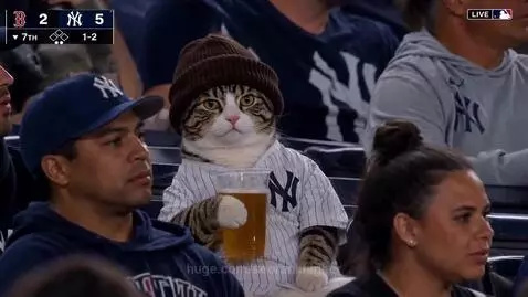 Tabby cat wearing a New York Yankees jersey and beanie, sipping a drink at a baseball game.