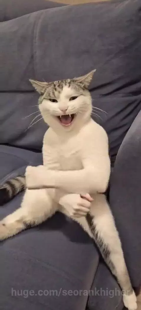 White and grey tabby cat sitting upright on a blue couch, appearing to do kung fu with paws edited to look like hands.